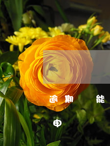 逾期過能辦信用卡嗎，逾期記錄會影響信用卡申請嗎？